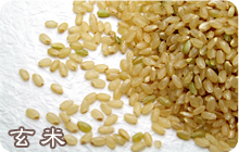 製粉シリーズ「国内産玄米」